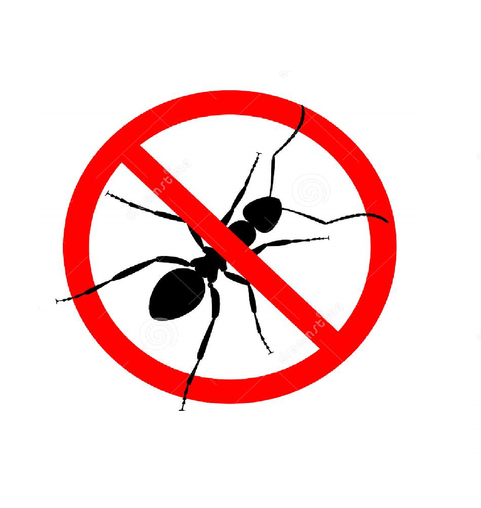 Exterminación de hormigas