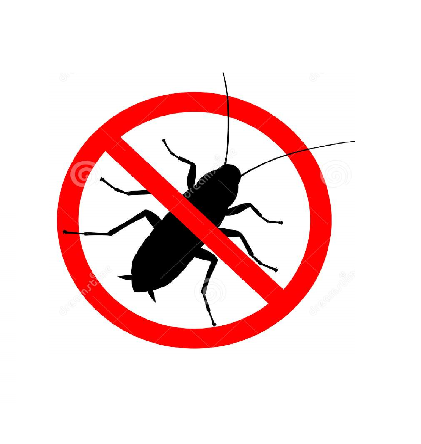 Exterminación de cucarachas
